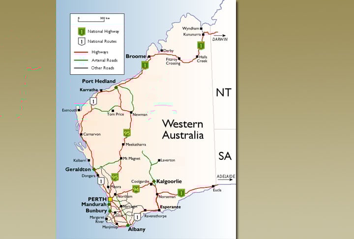 Nativos das áreas centrais da Austrália, as aves assemelhadas aos avestruzes invadiram as fazendas locais.