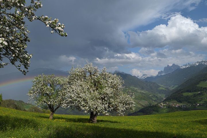 O estudo focou em safiras da cordilheira Eifel, uma região vulcânica no oeste da Alemanha, onde o magma vulcânico cria condições ideais para a cristalização dessas pedras preciosas. 