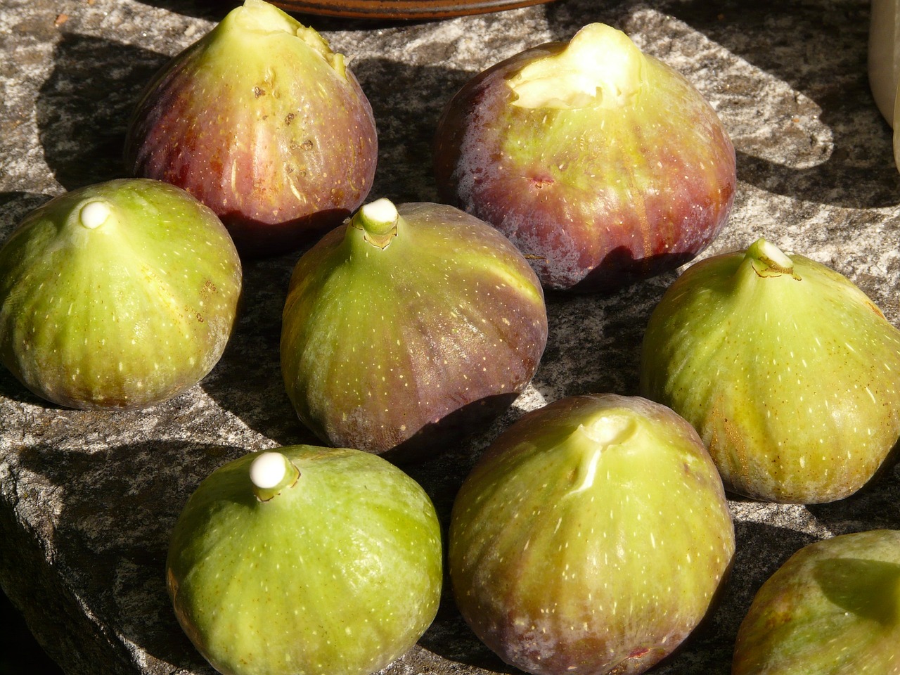 Contudo, como seu pólen está na parte interna, apenas a vespa-do-figo consegue acessá-lo por meio de uma abertura na flor. A digestão desta vespa não acontece como uma complementação da sua alimentação, mas como um mecanismo de defesa.