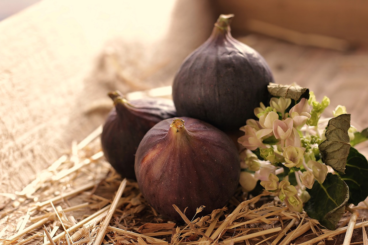 As flores do figo se abrem dentro de uma vagem, que amadurece e se torna o pseudofruto para ser consumido. Para que ele produza sementes férteis, depende da polinização. 