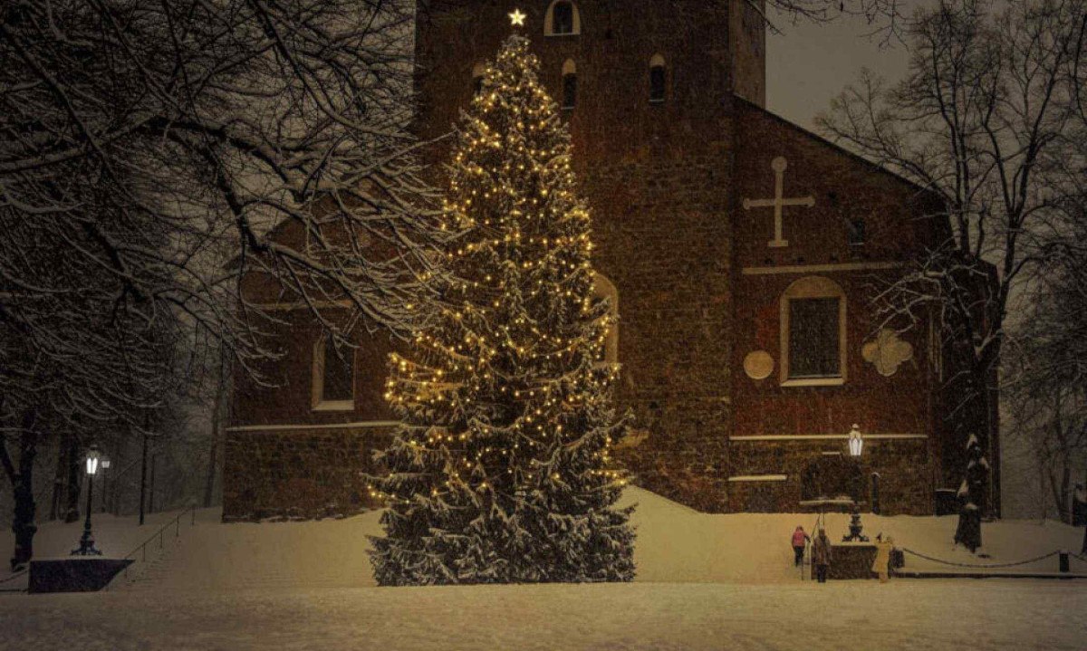 Por que montar uma árvore de Natal em casa? - (crédito: Wemystic) Por que montar uma árvore de Natal em casa? - (crédito: Wemystic)