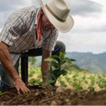 Uso de bioinsumos deve crescer até 3% na safra agrícola 2024/2025 - Croplife/Divulgação