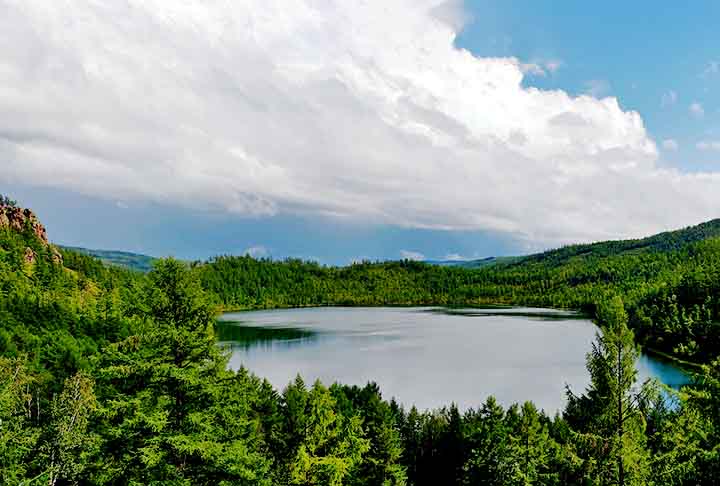 Mongólia - As coníferas dominam as montanhas e estepes do norte, protegendo o solo da erosão. As estepes 
são biomas formados por vastas planícies cobertas por gramíneas, com poucos arbustos. 
