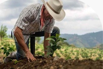 Uso de bioinsumos deve crescer até 3% na safra agrícola 2024/2025