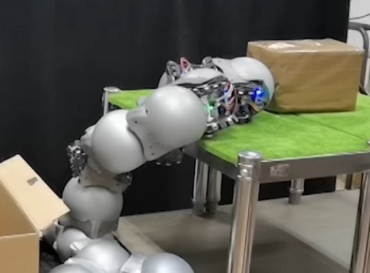 Os caracóis quem andam na terra, por exemplo, têm um 