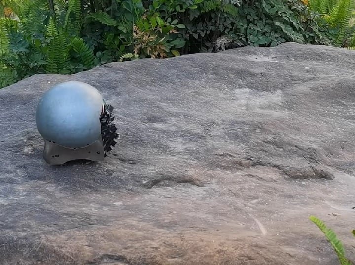 Esses robôs podem se mover em diferentes tipos de terrenos e trabalhar juntos para passar por obstáculos.