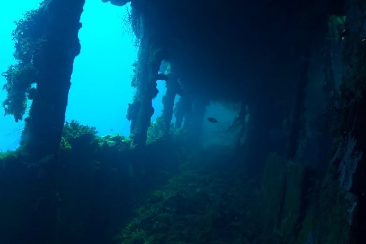 O Fujikawa Maru é só um dos 60 naufrágios mais acessíveis por lá. O navio de carga está a apenas 9 metros de profundidade e é fácil de explorar por dentro, onde os mergulhadores podem ver aviões e munições, entre outras coisas.