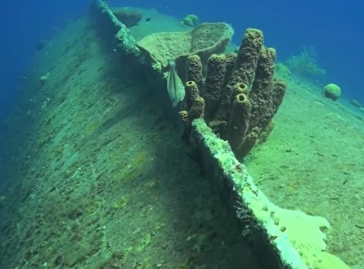 Ele está localizado sobre uma plataforma de areia entre dois sistemas de recifes de coral. Embora a penetração seja limitada, a visibilidade cristalina torna o mergulho no Hilma Hooker inesquecível.