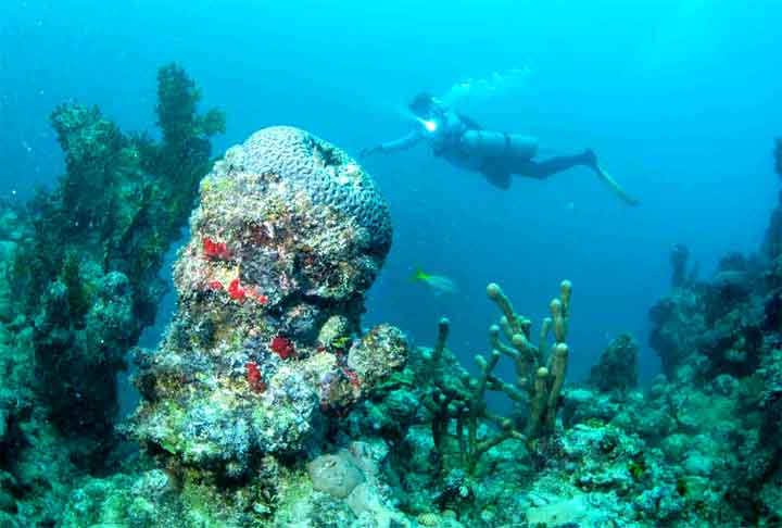 Um dos lugares com mais naufrágios é o arquipélago de Abrolhos, no sul da Bahia. Lá, o ponto conhecido como 