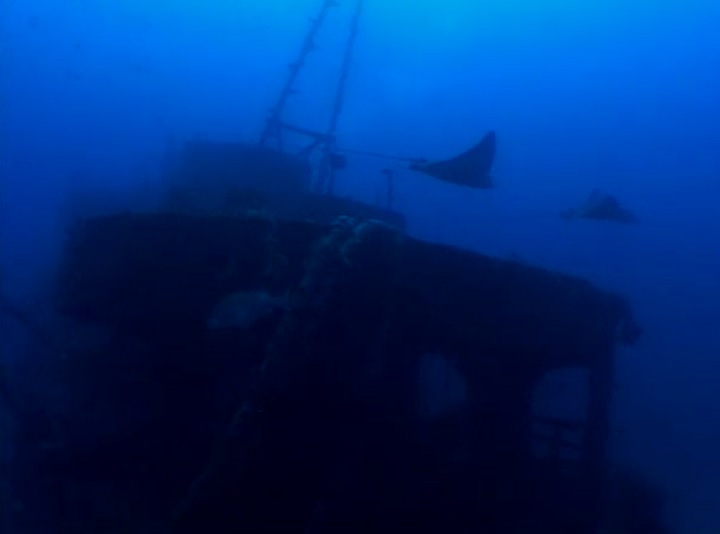 Outro navio dos mais visitados é o Corveta Ipiranga, que naufragou em Fernando de Noronha em 1983. Seus destroços estão numa profundidade aproximada de 62 metros.