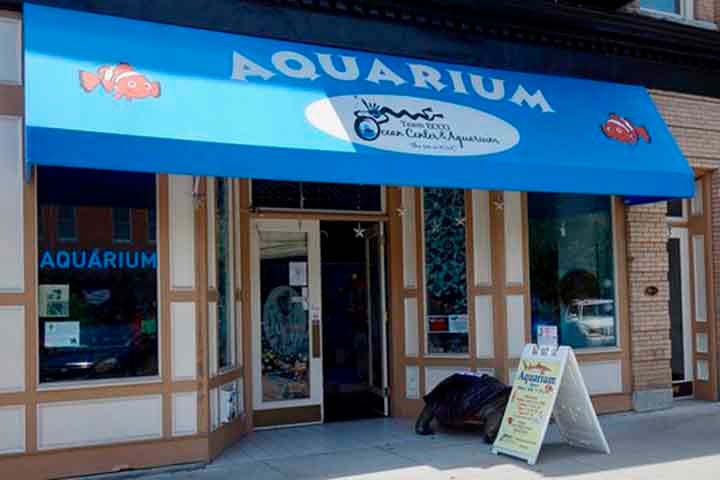 O caso aconteceu no Aquarium and Shark Lab, em Hendersonville, no estado da Carolina da Norte. 
