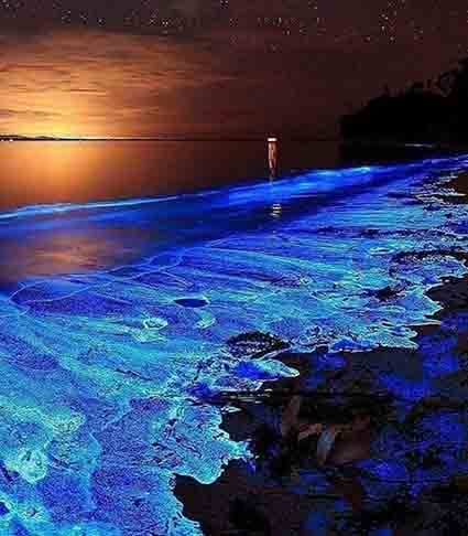 Mosquito Bay - Localizada na ilha de Vieques, em Porto Rico, essa baía é famosa pela bioluminescência. O fenômeno é produzida pelo Pyrondium bahamense, organismo unicelular que brilha ao ser agitado.

