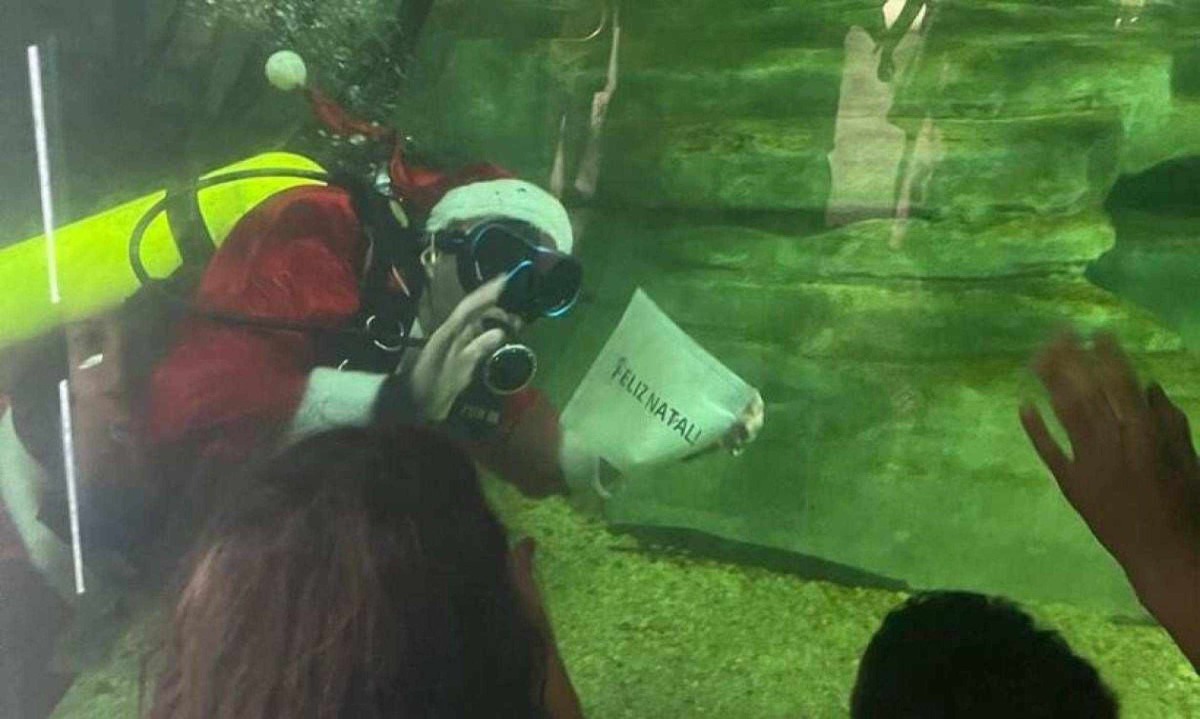 Papai Noel faz mergulho no aquário do zoológico de Belo Horizonte

 -  (crédito: Divulgação)