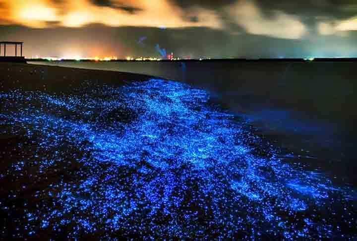 Koh Rong - Ilha do Camboja, no sudeste asiático, é plena de plânctons que emitem suas luminosidades à noite.