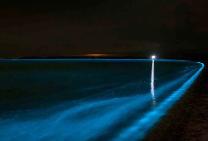 Parque Nacional Gippsland Lakes - Situado em Vitória, na Austrália, o lago é iluminado por dinoflagelados, oferecendo uma visão deslumbrante.