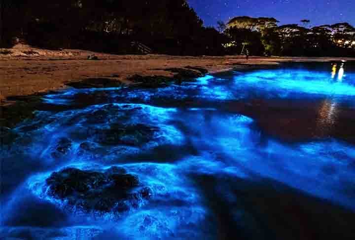 Praia de Jervis Bay - Localizada na Austrália, é uma localidade paradisíaca que também verifica o fenômeno natural da bioluminescência. 