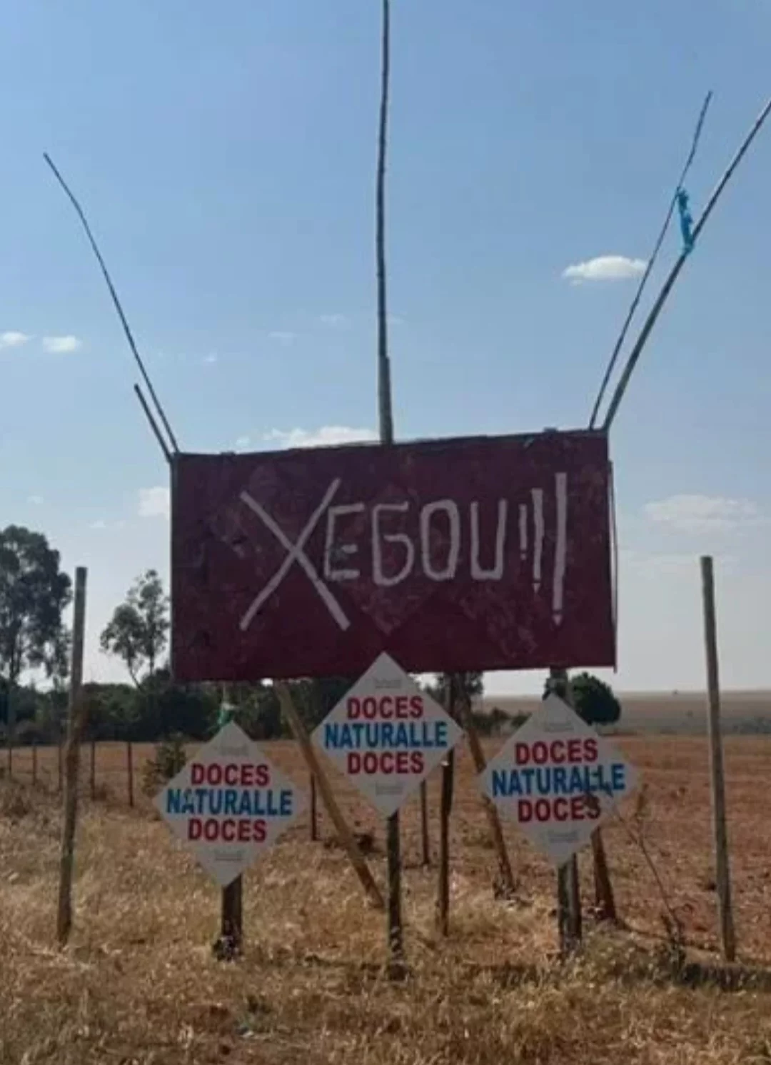 Placa com erro na estrada chama atenção de motoristas - Reprodução de redes sociais 