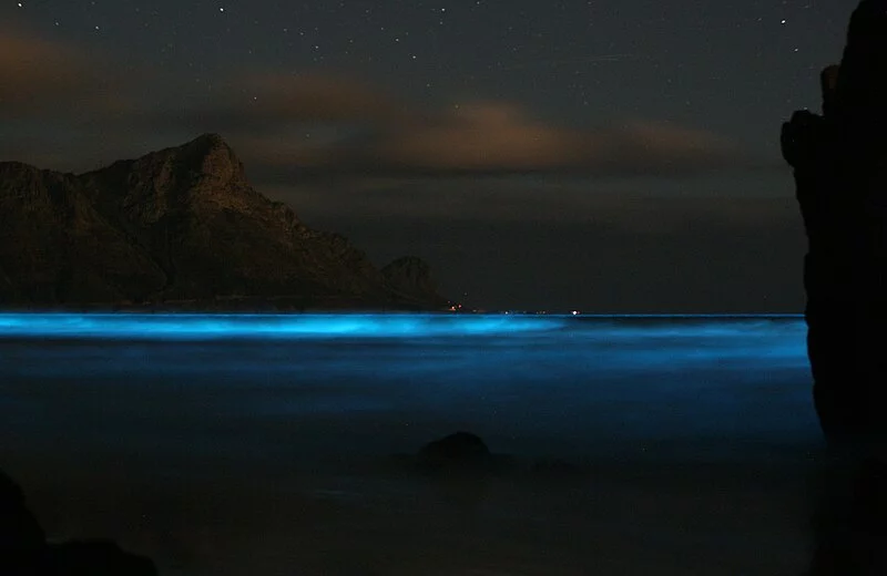 Krabi - Na costa sul da Tailândia, a província tem uma ilha onde a bioluminescência por plânctons é apreciada com frequência.
