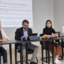 BH pode receber 50 mil novas árvores em 2025, anuncia PBH - Jair Amaral / EM /D.A Press