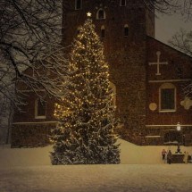 Por que montar uma árvore de Natal em casa? - Wemystic