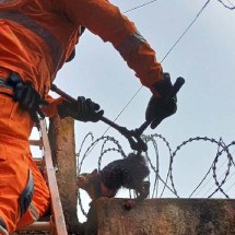 Gato preso em concertina é salvo pelos bombeiros no interior de Minas - Divulga&ccedil;&atilde;o/CBMMG