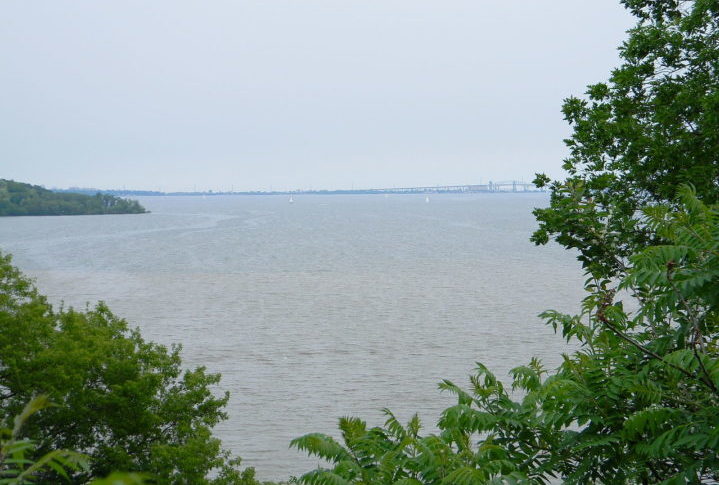 A pesquisadora e seus colegas têm monitorado carpas douradas invasoras no Porto de Hamilton, localizado na ponta oeste do Lago Ontário, região próxima de Toronto. O Lago Ontário foi duramente afetado pelo crescimento industrial e urbano, além de ser impactado por espécies invasoras.