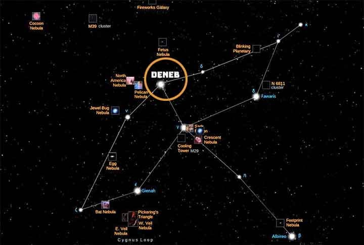 Cignus: Conhecida como a 