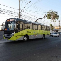 PBH estuda possível reajuste na tarifa dos ônibus para 2025 -  Tulio Santos/EM/D.A.Press