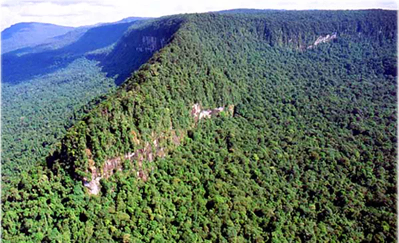 RORAIMA - O nome refere-se à  junção de 'roro' ou 'rora' (verde) com 'imã' (serra ou monte). 