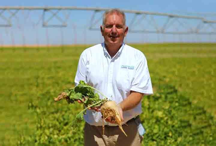 “Quando iniciamos este projeto, em 2018, o lugar era apenas um deserto. Mas agora se transformou em uma terra irrigada pelos poços que perfuramos e plantamos com beterraba, alfafa e cevada, o que nos deixa orgulhosos”, explicou Zhou Guquiang, chefe da filial da empresa chinesa no Egito, citando outros gêneros alimentícios plantados no local.
