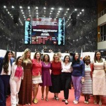Deputadas da ALMG aprovam emendas de combate à violência contra mulheres - Reprodução