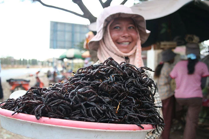 Aranha frita - Comum no Camboja, o petisco Ã© feito com tarÃ¢ntulas ou caranguejeiras. Se a aranha for venenosa, os pelos sÃ£o retirados para eliminar o veneno. O tempero leva sal, aÃ§Ãºcar, pimenta e alho. 