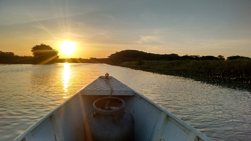  O Amapá perderia o município de Oiapoque, que se transformaria em estado. Mas o projeto não foi adiante.