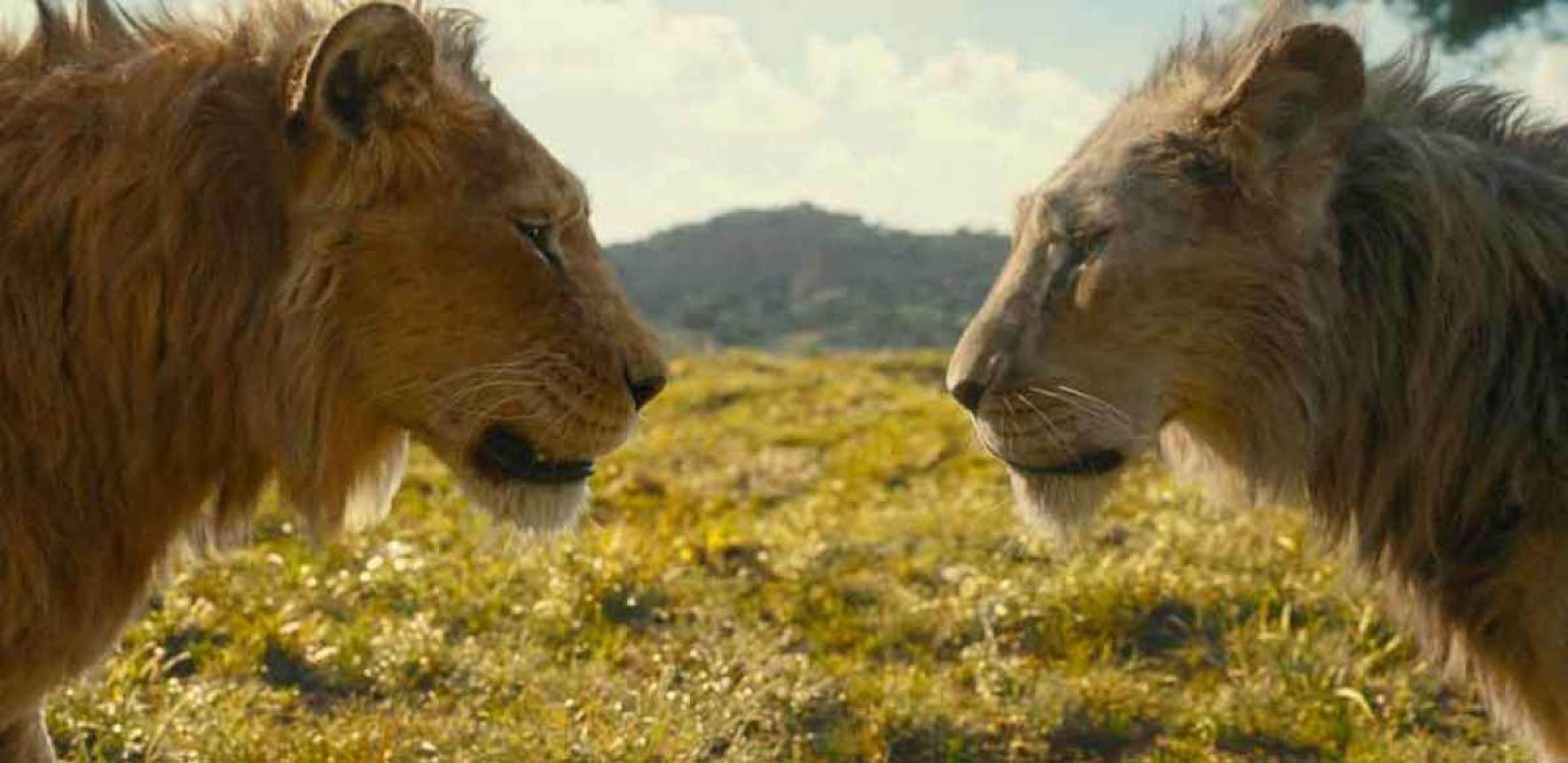 O atormentado Scar rouba a cena do herói Mufasa no novo filme do Rei Leão