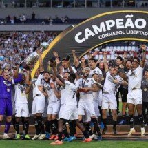 Botafogo comemora título da Libertadores -  (crédito: Buda Mendes/Getty Images)