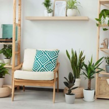 As plantas trazem vida para a decoração e refrescam o ambiente (Imagem: New Africa | Shutterstock) -  (crédito: EdiCase)