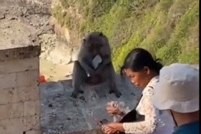 Recentemente, viralizou nas redes sociais um vídeo com cena bastante inusitada: um macaco entrega o aparelho celular para uma mulher depois que ela dá alimentos ao animal. O FLIPAR mostrou e republica para quem não viu. -  (crédito:  Reprodução/Redes Sociais)