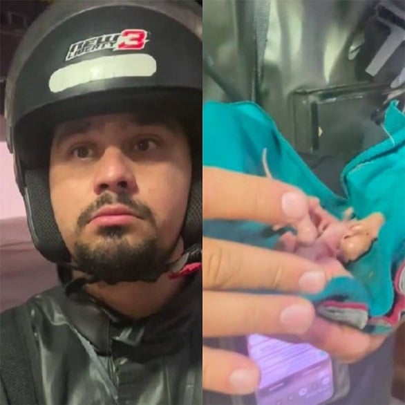 Motoboy salva filhotes de gambás e leva para namorada: 