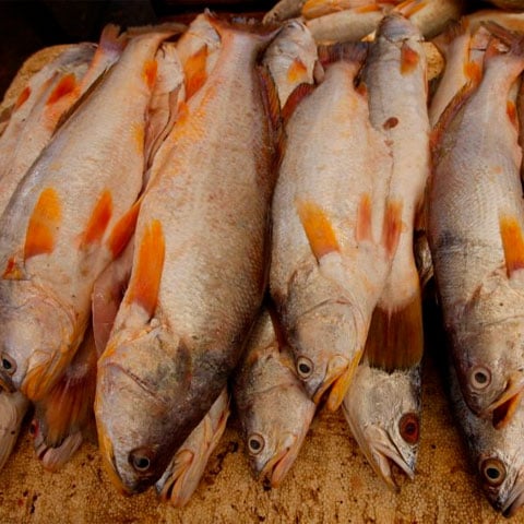 Peixes ricos em ômega-3: Alguns peixes como salmão, atum, sardinha e truta são ricos em ácidos graxos ômega-3.