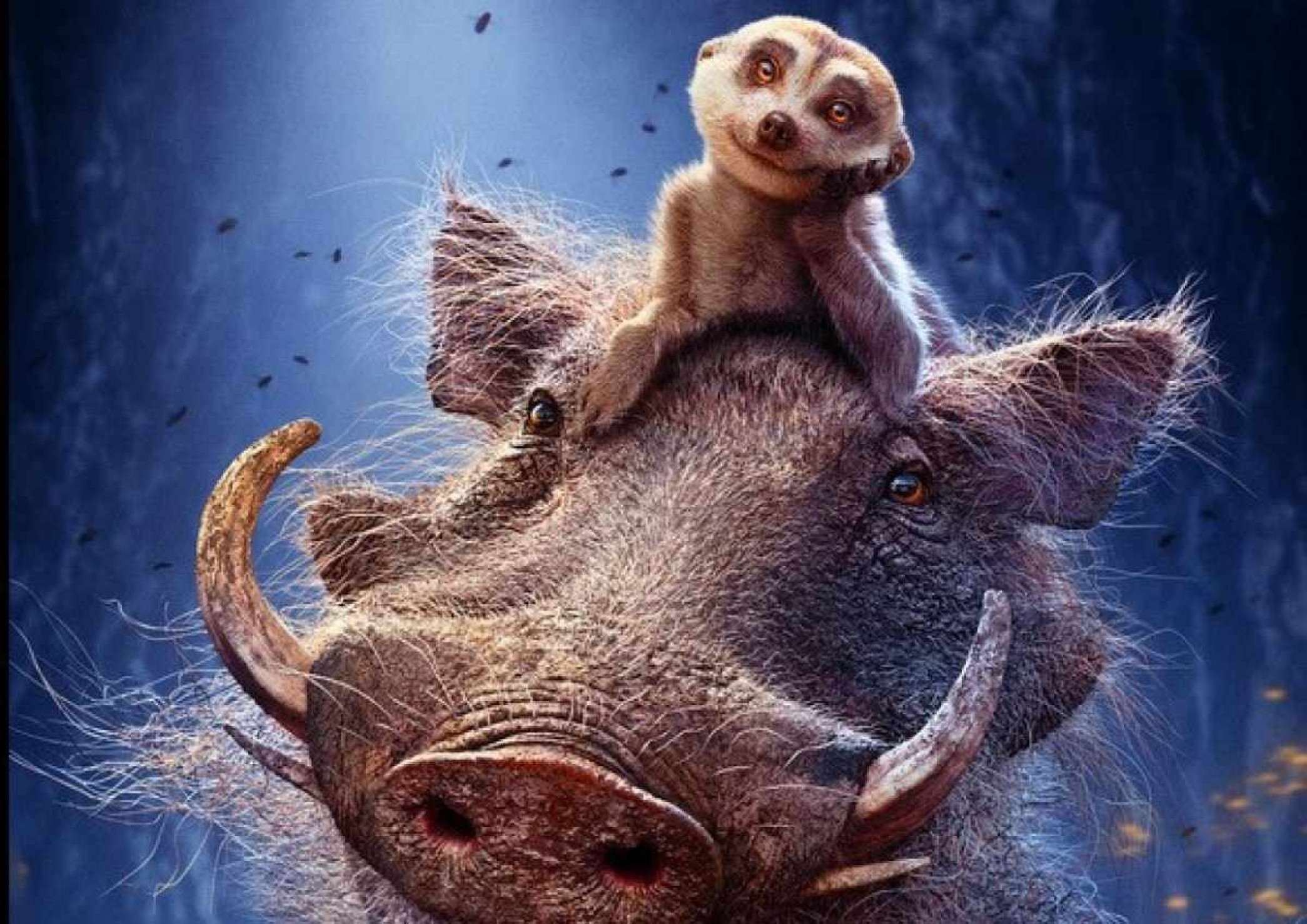 O suricato Timão está montado na cabeça do javali Pumba em cartaz do filme Mufasa: O Rei Leão