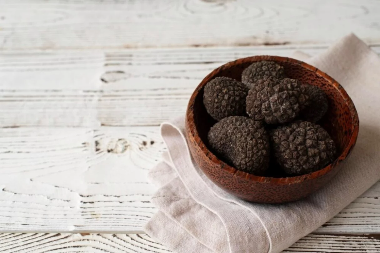 Na natureza, as trufas ajudam a espalhar os seus esporos, o que é importante para manter o equilíbrio e garantir que a espécie continue existindo. Isso acontece porque esses esporos vão gerar novas trufas com o passar do tempo.