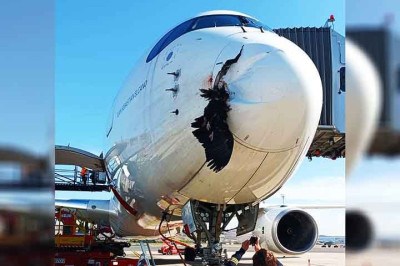 Durante um voo com destino a Eirunepé, no Amazonas, um incidente inusitado e perigoso chamou a atenção. Um urubu colidiu com um avião monomotor, resultando em danos ao para-brisa da aeronave. Apesar do impacto, os cinco passageiros a bordo saíram ilesos. -  (crédito:  Reprodução de Redes Sociais)