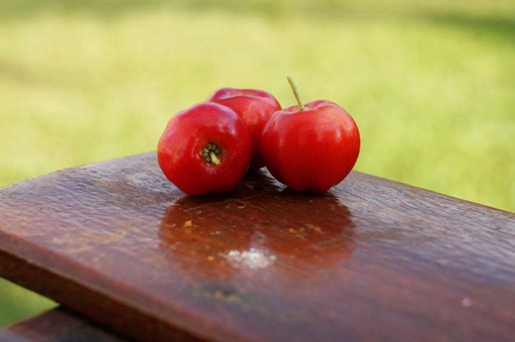 A acerola possui um sabor adocicado com um toque azedinho e pode ser consumida fresca, como um lanche nutritivo.