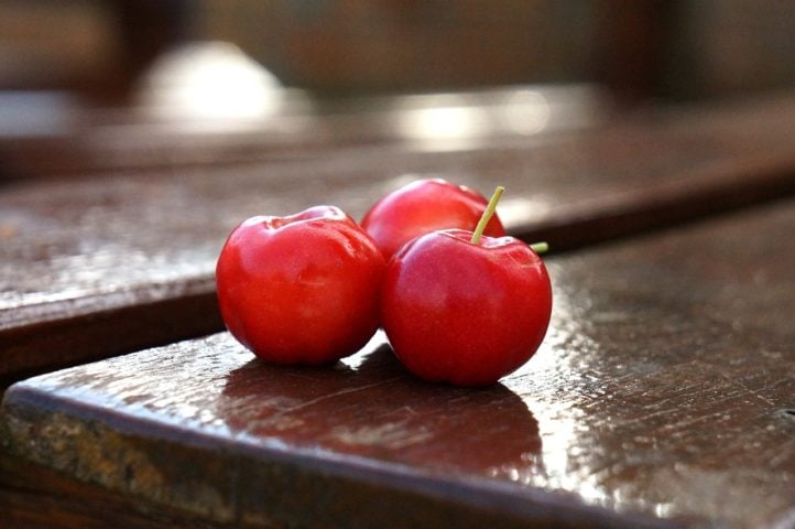 Com um mercado em constante crescimento, tanto no Brasil quanto no exterior, a acerola tem um futuro promissor como uma fruta rica em nutrientes e com diversos benefícios para a saúde.