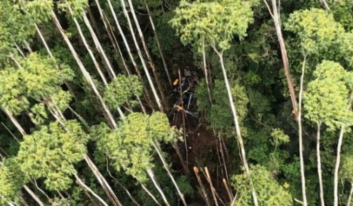 O helicóptero foi encontrado em uma área de mata na cidade de Paraibuna, no Vale do Paraíba, a 120 km de distância do Campo de Marte, onde havia decolado. Os quatro tripulantes morreram.
