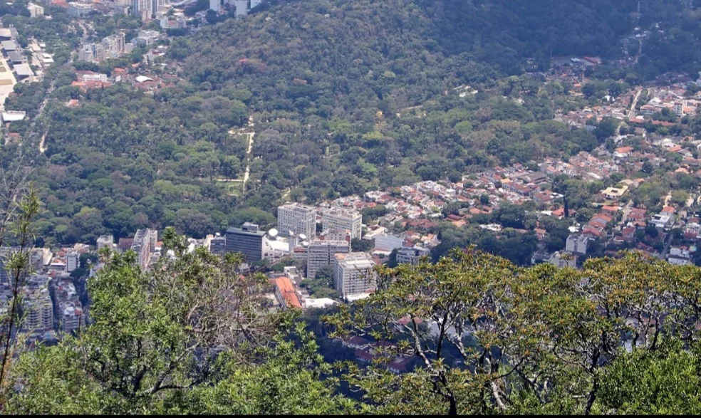 O Jardim Botânico do Rio de Janeiro foi inaugurado em 1808 e é um dos espaços verdes mais bem preservados da cidade. Ocupa uma área de 54 hectares no bairro de mesmo nome, na zona sul do Rio.