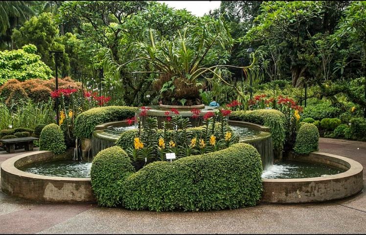 Os jardins botânicos são espaços onde árvores de diversas espécies são preservadas e estudadas. Os JBs , além de manterem parques abertos à visitação, também são instituições de pesquisa.