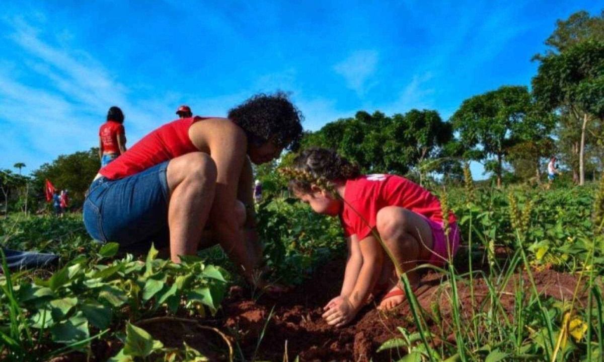 Mulher e criança, com camisas do MST, trabalham em lavoura no Paraná; imagem meramente ilustrativa -  (crédito: Coletivo de Comunicação MST/PR)