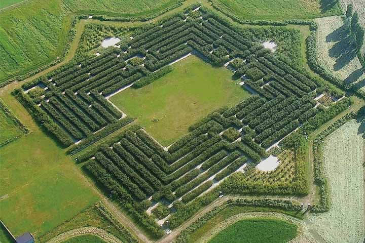 O Della Masone é o maior labirinto verde do mundo, e localiza-se nos arredores de Parma, em Itália. Com um tamanho de oito hectares, é composto por 200 mil plantas de bambu, de diferentes espécies, que vão até aos 15 metros de altura.