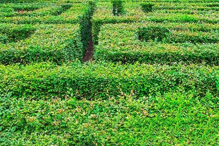 Ao contrário dos labirintos complexos, recheados de becos sem saída, aqueles voltados à meditação são diferentes. Eles são baseados em desenhos clássicos onde, por mais complexo que seja o percurso, a pessoa sempre terá um caminho livre em direção ao seu centro.